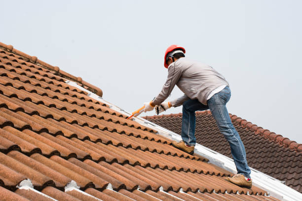 Best Rubber Roofing (EPDM, TPO)  in Eddyville, IA
